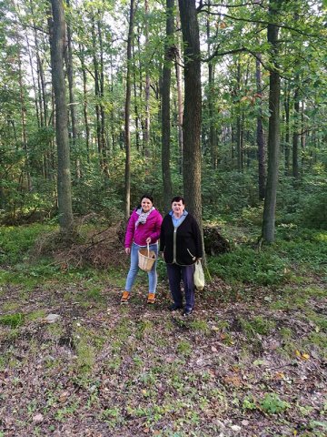Jesienny spacer 19.09.17